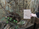 Наброски в Краеведческом музее