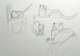Художники в Котокафе «Mr. Moore»