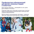 Аномальные холода. Как уберечься от обморожения
