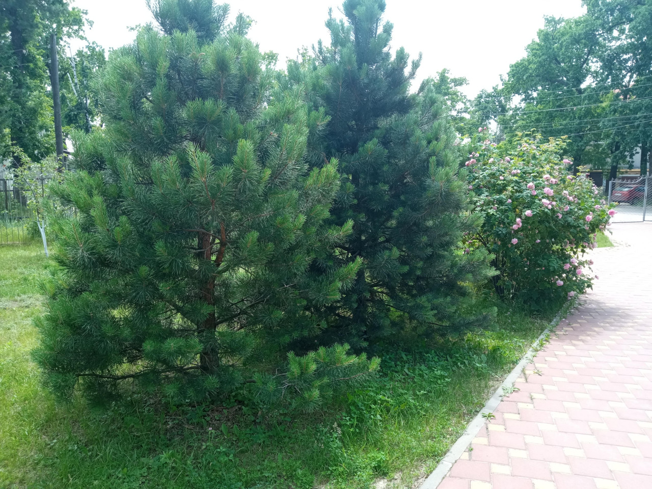 МБУДО "Детская школа искусств №4"