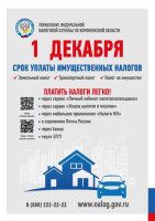 Оплата налогов