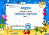Участие обучающихся в ЗАОЧНЫХ мероприятиях 