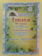 КОНКУРСЫ РАЙОННОГО УРОВНЯ