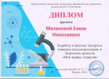 Экспертная деятельность