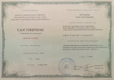 Непрерывность профессионального развития.