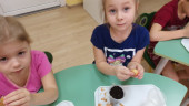Экологическое развитие "Посадка лука"