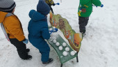 Зимняя прогулка