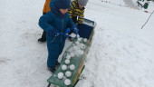Зимняя прогулка