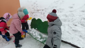 Зимняя прогулка
