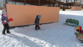 Зимняя прогулка