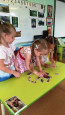 Семейный клуб "Хочу всё знать"