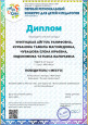 транслирование опыта профессиональной деятельности