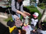 Пиратский квест в группе Ягодки