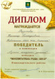 Муниципальные конкурсы