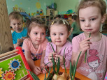 Огород на подоконнике