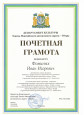 Наличие отмеченных профессиональных достижений  