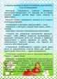 Консультация