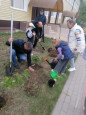 Акция "Сирень Победы"
