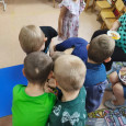Круглый стол