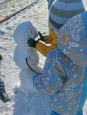 Зимняя прогулка