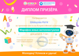 Дипломы призеров