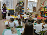 Практика студентов