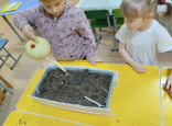 Витамины на окне