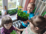 Клубный час  "Юные садоводы-огородники"