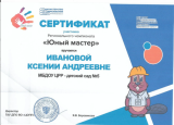 Дипломы и Сертификаты