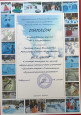 Результативность участия в профессиональных конкурсах 