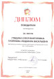 Результативность участия в профессиональных конкурсах 