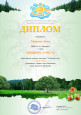 Дипломы призеров