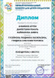 Дипломы призеров