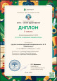 Дипломы призеров