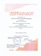 Наличие авторских (соавторских) опубликованных материалов