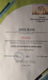 Участие педагога в конкурсах различного уровня