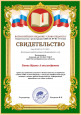 Участие в конкурсах, вебинарах и экспертных комиссиях.