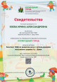 Участие в конкурсах, вебинарах и экспертных комиссиях.