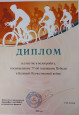 Участие в конкурсах, вебинарах и экспертных комиссиях.