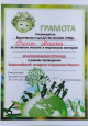 творческий конкурс.
