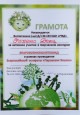творческий конкурс.