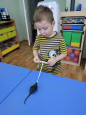 Развиваем наши пальчики