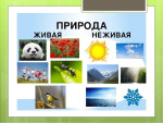 "Живая и неживая природа "