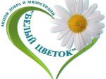 Акция ''Белый цветок"