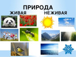 ''Живая и неживая природа"