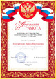 Наличие отмеченных профессиональных достижений