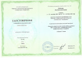 Непрерывность профессионального развития