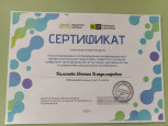 Проектирование и сопровождение индивидуальной профессиональной траектории педагога в условиях цифровой трансформации