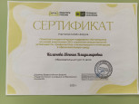 Психолого-педагогическая поддержка обучающихся из семей участников СВО