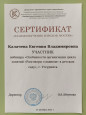 Особенности организации цикла занятий "Разговоры о важном" в детском саду